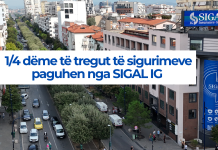 Raporti 9-mujor i AMF: SIGAL IG paguan ¼ e dëmeve të të gjithë tregut