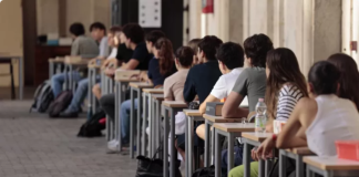 40% e të diplomuarve nuk punësohen në profilin e tyre